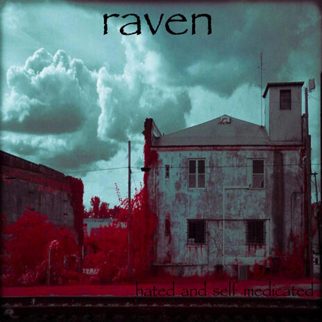 Raven | Boomplay Music