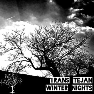 Transtejan Winter Nights