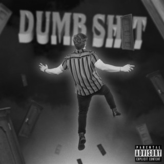 Dumb Shit lyrics | Boomplay Music