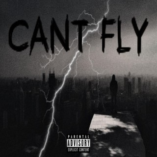 CANT FLY