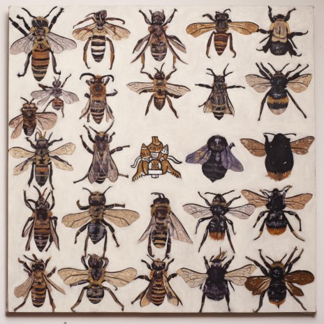 La vida de las abejas - El enjambre