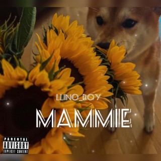 Mammie lyrics | Boomplay Music