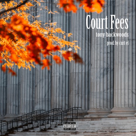 court fees | Boomplay Music