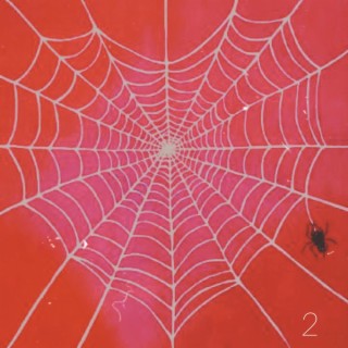 Spider 2