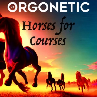 Horses for Courses lyrics | Boomplay Music