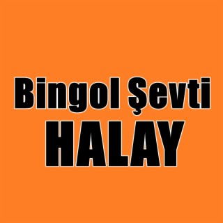 Bingol Şevti Halay