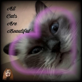 All Cats Are Beautiful