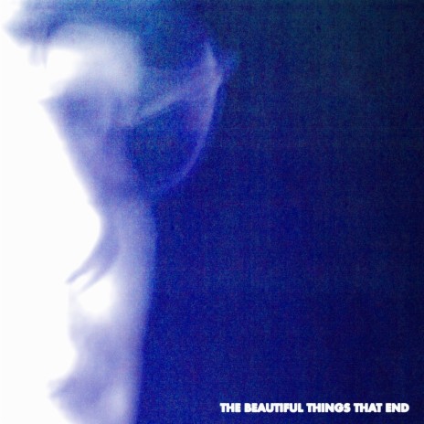The Beautiful Things That End | Boomplay Music
