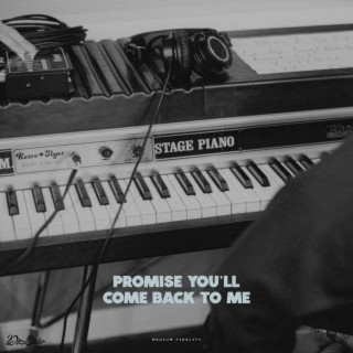 Promise You'll Come Back To Me ft. The Side Dog lyrics | Boomplay Music