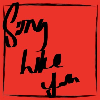 Song Like You lyrics | Boomplay Music