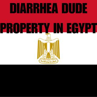 Property in Egypt