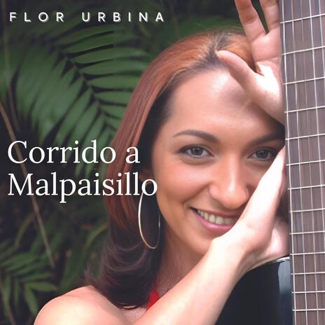 Corrido a Malpaisillo | Boomplay Music