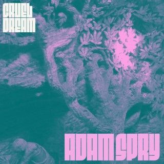 Cruel Dream lyrics | Boomplay Music