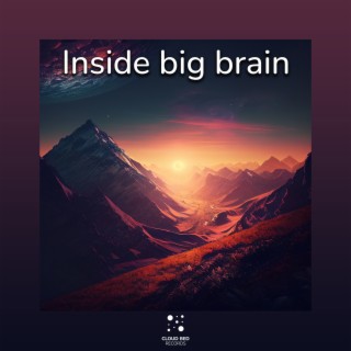 Inside big brain