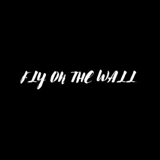 FLY ON THE WALL