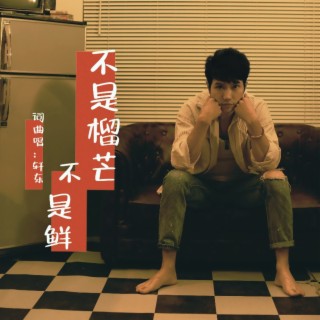 不是榴芒不是鲜 lyrics | Boomplay Music