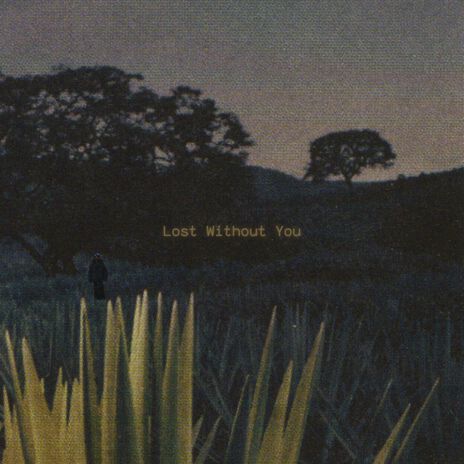 Lost Without You | Boomplay Music