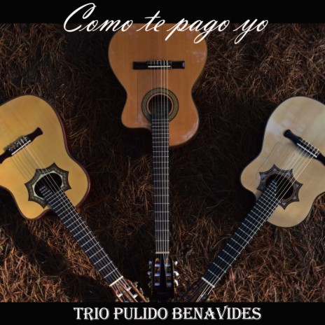 Como Te Pago Yo | Boomplay Music