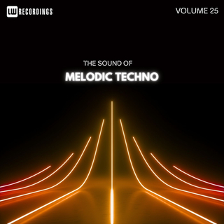 The Sound Of Melodic Techno, Vol. 25