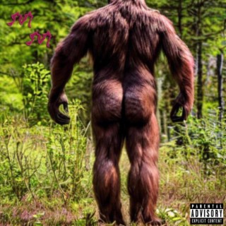 Biggest Ape (Sped Up) lyrics | Boomplay Music