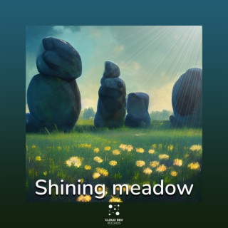 Shining meadow