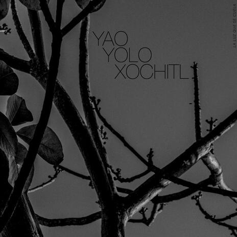 YAOYOLOXOCHITL | Boomplay Music