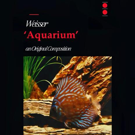 Aquarium | Boomplay Music