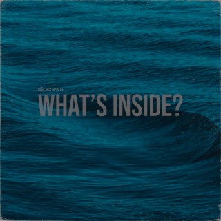 what's inside?