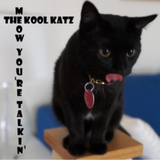 The Kool Katz