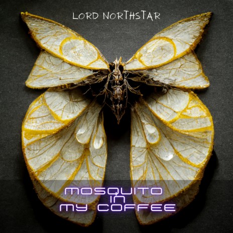 Mosquito in My Coffee | Boomplay Music