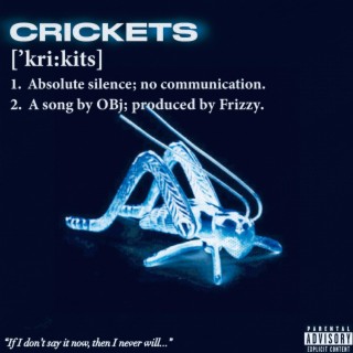 Crickets lyrics | Boomplay Music
