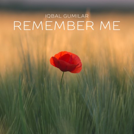 Remember Me (Lullaby) | Boomplay Music
