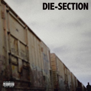 Die-Section