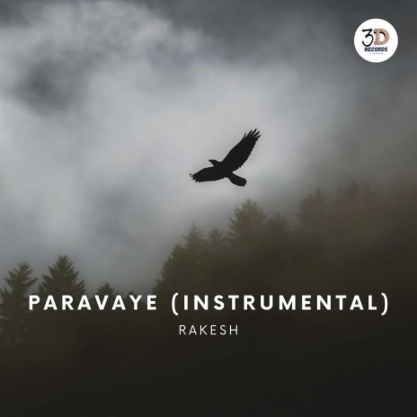 Paravaye (Instrumental)