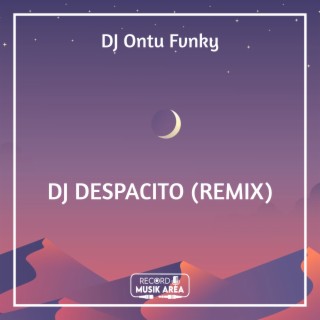 DJ DESPACITO (REMIX)