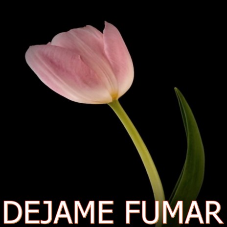 DEJAME FUMAR ft. Base de rap beats | Boomplay Music