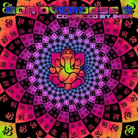 The Run (Goa Overdose 2 Compilation) | Boomplay Music