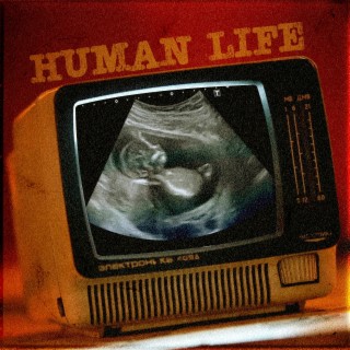 Human Life