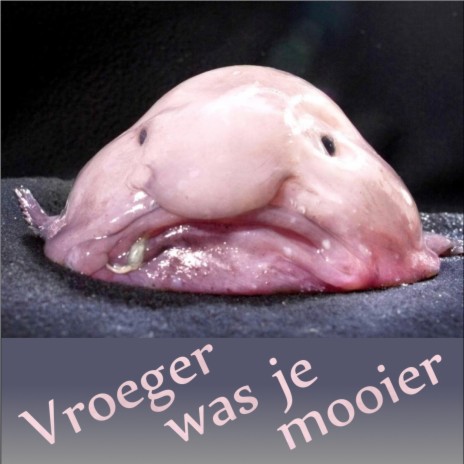 Vroeger was je mooier | Boomplay Music