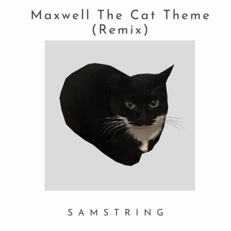 Maxwell The Cat Theme (SAMString Remix)