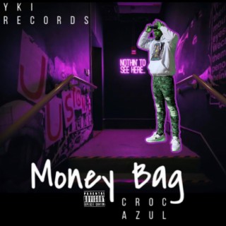 Money Bag