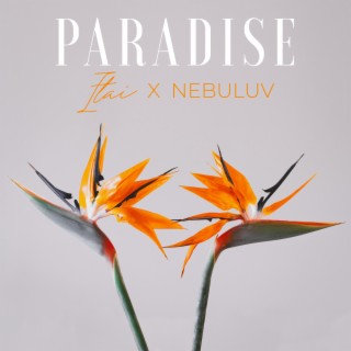 Paradise (Nebuluv Remix) ft. Nebuluv lyrics | Boomplay Music