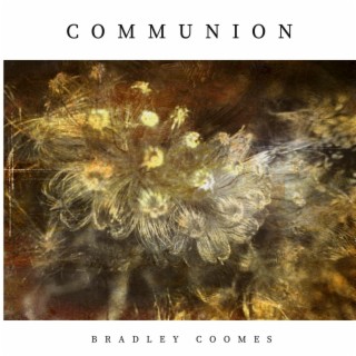 Bradley Coomes