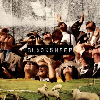 BLACKSHEEP