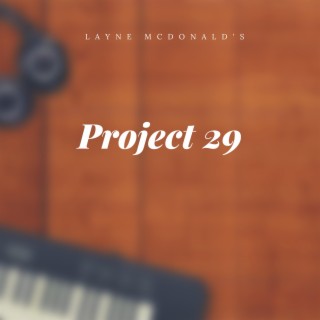 Project 29