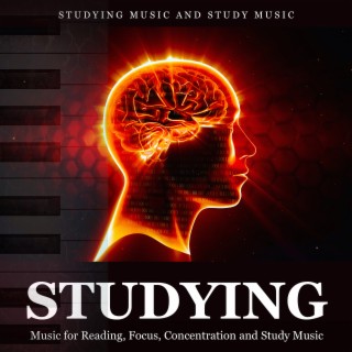 Studying Music for Reading, Focus, Concentration and Study Music