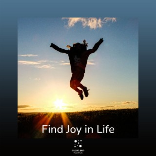 Find Joy in Life