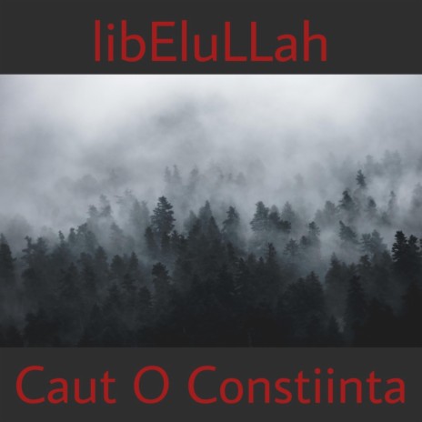 Caut O Constiinta