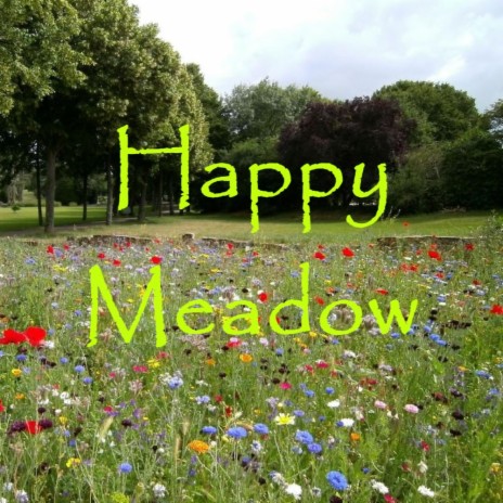 Happy Meadow | Boomplay Music