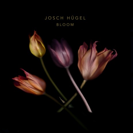 Bloom | Boomplay Music